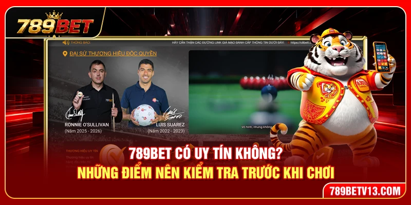 789BET Có Uy Tín Không? Những Điểm Nên Kiểm Tra Trước Khi Chơi